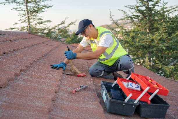 Best Tile Roofing Contractor  in Apex, NC