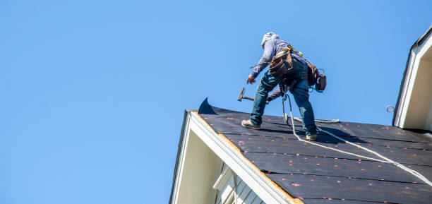 Best Roof Gutter Cleaning  in Apex, NC